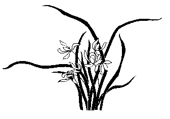 p026.GIF (2489 bytes)