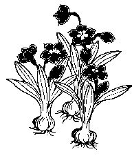 p027.gif (2890 bytes)
