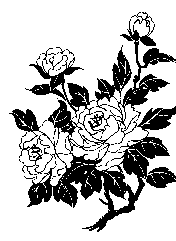 p032.GIF (2835 bytes)